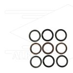 Kit 113 - Manchetset voor 3 plunjers  Ø30mm - Serie 69 - W103CW