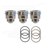 Kit 2012 - Set zuigkleppen (3x) - Serie 71 + 71(V)HT + KF40 Pratissoli