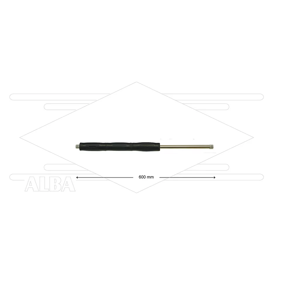 RP10 lans - L=600mm - recht - RVS - isolatie L=295mm - 400 Bar - max 80°C - 2 x 1/4" bu - Afbeelding 1