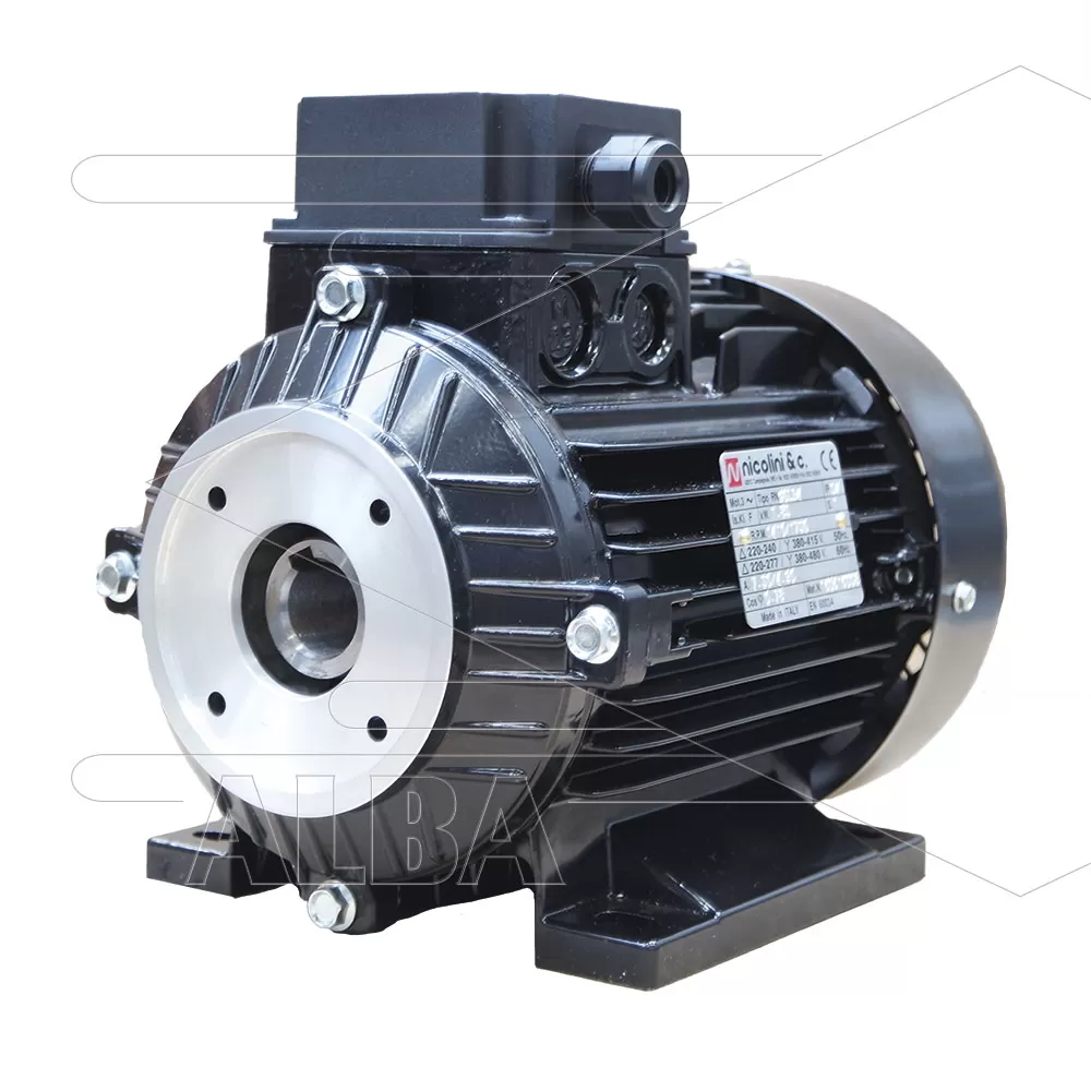 Nicolini elektromotor 2.2 kW - 230/400V - Ø24mm inwendige as - IEC 100 - pompserie: 44 - 50 - 51 - 53(E1) - 58(E2) - 60(VHT) - 63(VHTS/SS) - Afbeelding 1