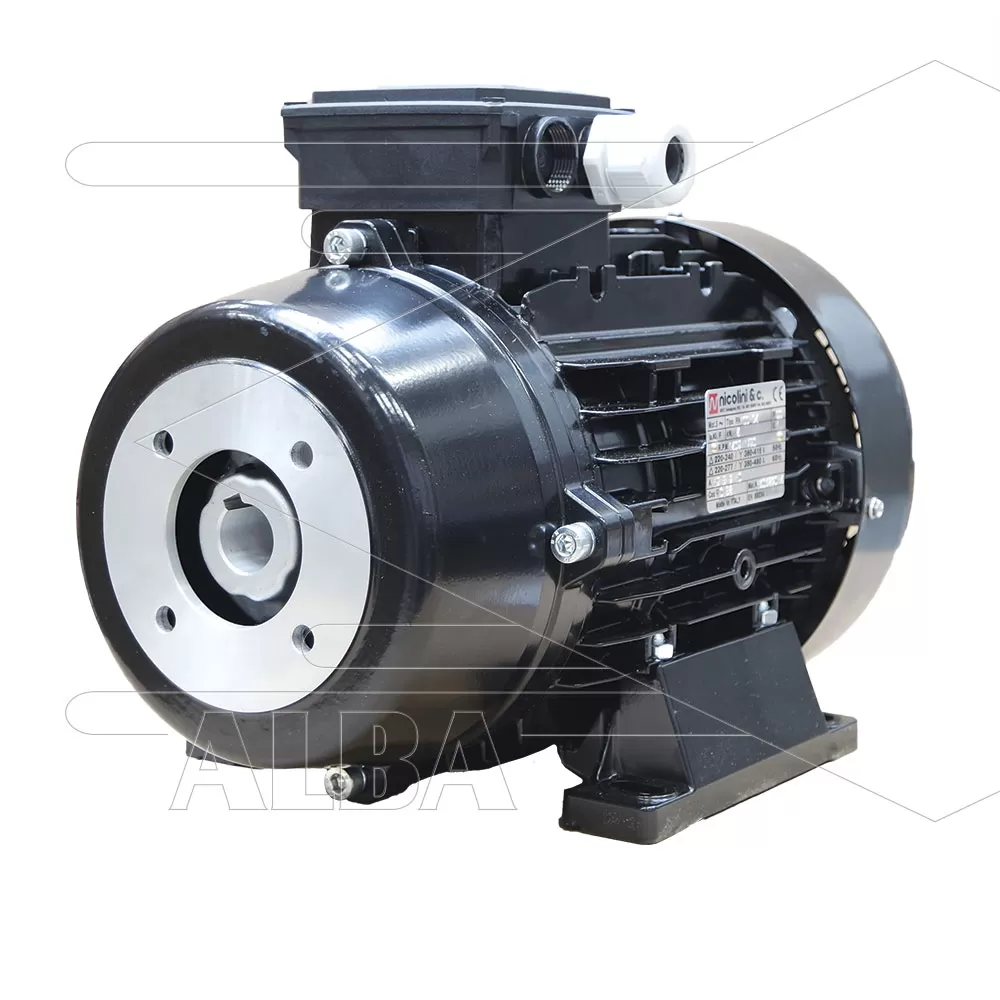 Nicolini elektromotor 7.5kW - 230/400V - KTR flexkoppeling - Ø24mm inwendige as - IEC 132 - pompserie: 47(VHT-SS) - 59(E3) - 66(VHT-SS) - Afbeelding 1