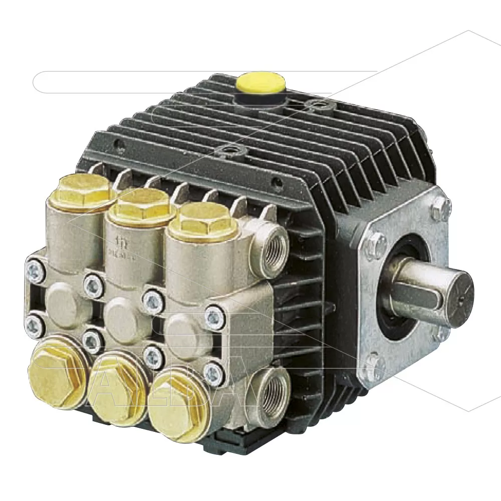 WW55 A plunjerpomp - 8,0 L/min - 50bar - 2800tpm - 0,73kW - Afbeelding 1