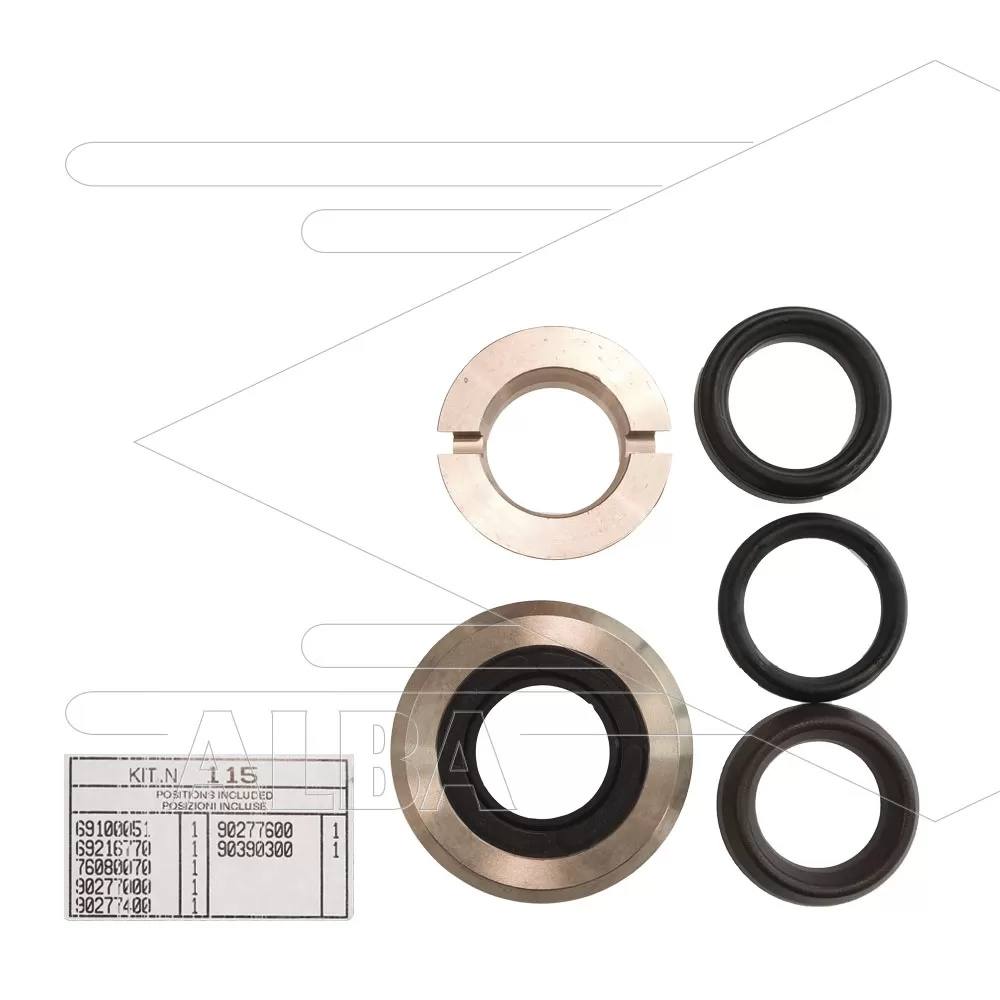 Kit 115 - Complete afdichtingsset voor 1 plunjer Ø30mm - Afbeelding 1