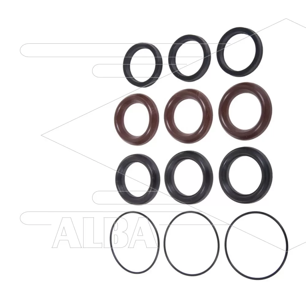 Kit 2010 - Afdichtingsset voor 3 plunjers Ø30mm - Serie 70 - Afbeelding 1